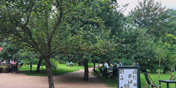 Orchard Tea Garden - English afternoon tea beneath century-old apple trees