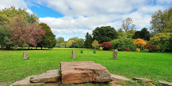 Bute Park Panorama