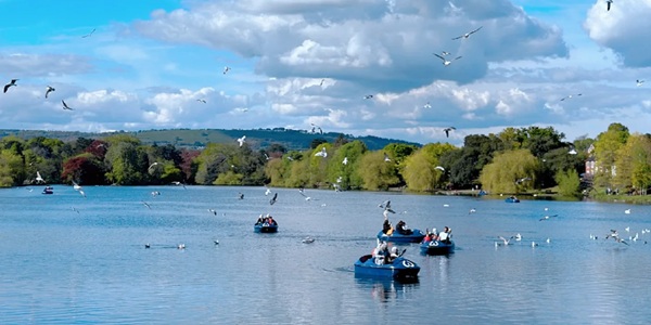 Roath Park Lake View with Scott Lighthouse