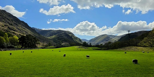 Panorama of Rosthwaite and Borrowdale Valley with Scafell Pike in the distance