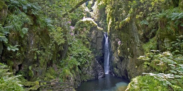 Stanley Ghyll Force waterfall canyon with ferns on rocks and wooden bridge crossing