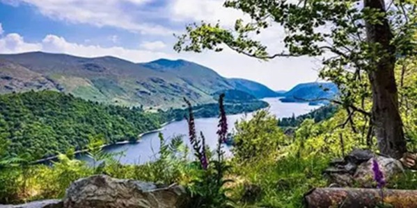 Thirlmere Reservoir with Helvellyn reflected in jade-green water, surrounded by pine forests
