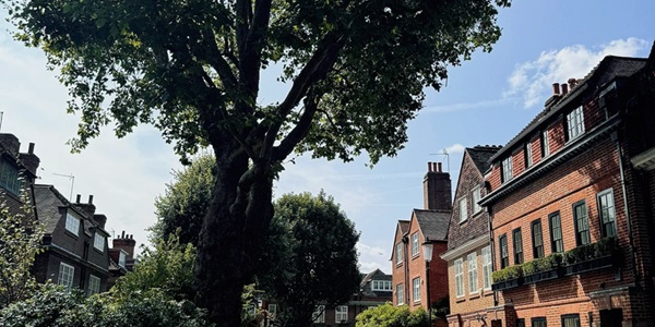 King's Road, Chelsea, London