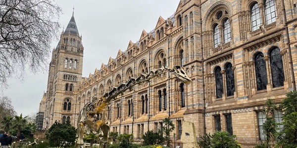 Natural History Museum, Kensington, London