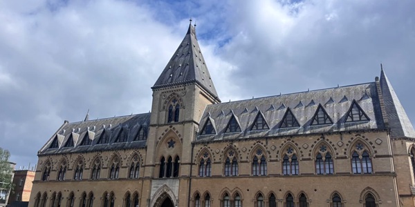 Oxford Natural History Museum Gothic glass dome with dinosaur skeleton