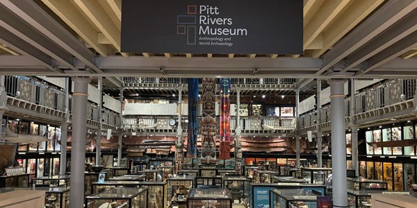 Pitt Rivers Museum Victorian display cases and anthropological treasures