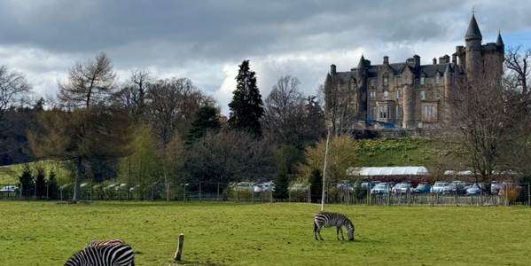 Blair Drummond Safari Park Panorama