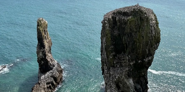Pembrokeshire Coast Path Panorama