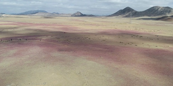 新和沙漠花海全景