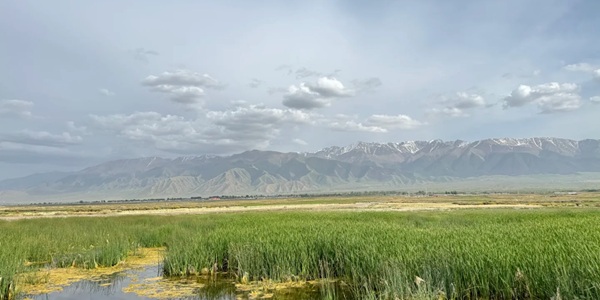 巴里坤湖与草原全景