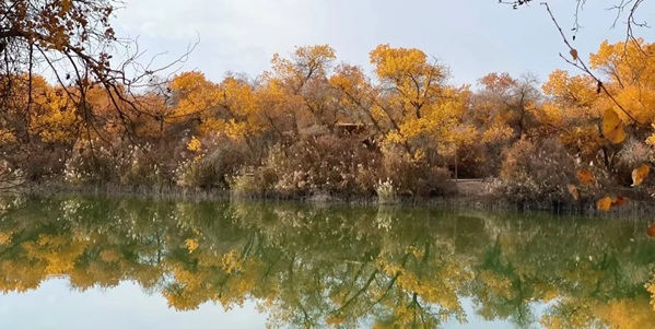 巴楚红海景区全景