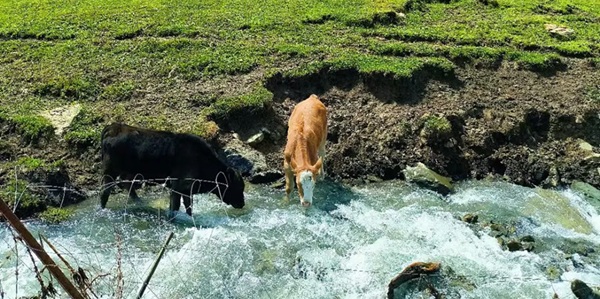 沙湾鹿角湾温泉全景