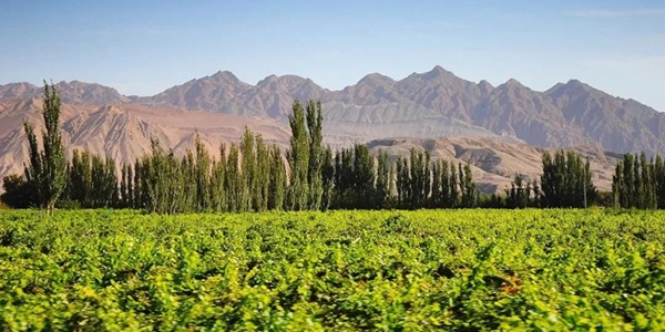 高昌区火焰山与葡萄沟全景