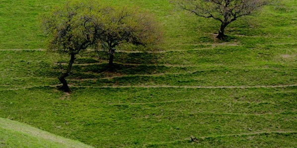 新源县自然风光