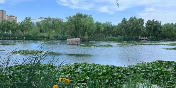 伊宁市人文风光