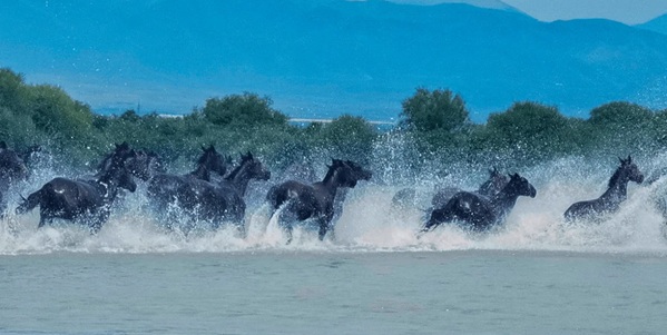 昭苏县自然人文景观