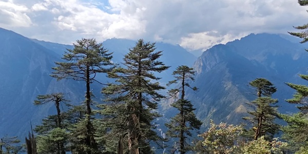 错那市勒布沟风光