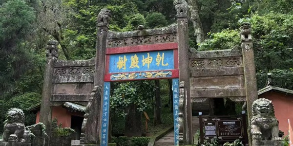 武定狮子山牡丹