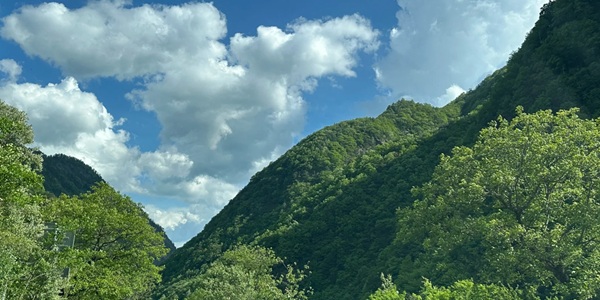 金平分水岭热带雨林