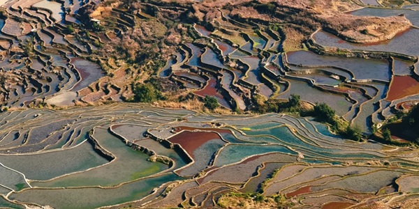 元阳多依树梯田日出