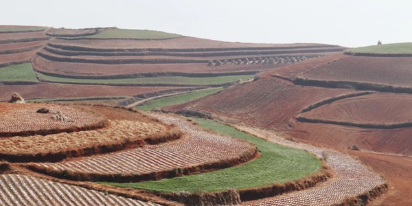昆明东川区红土地