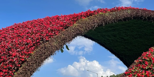 昆明盘龙区世博园