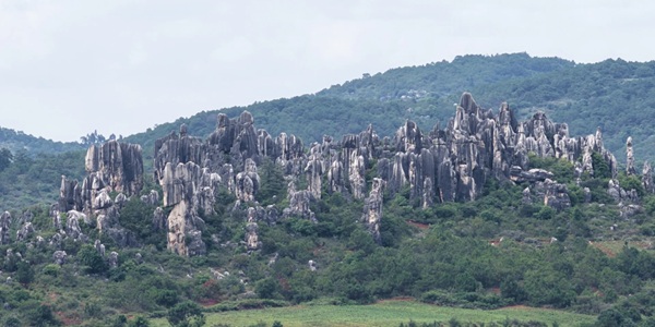 昆明石林彝族自治县石林景区