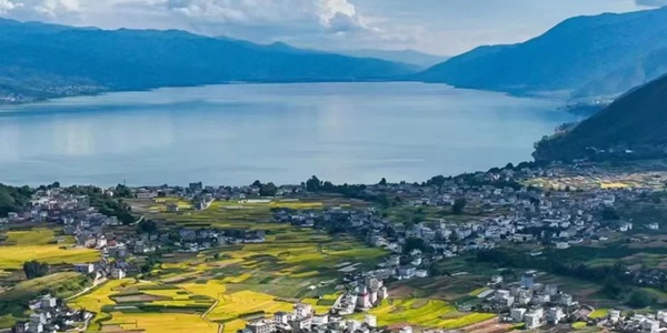 程海湖湖光山色与候鸟景观