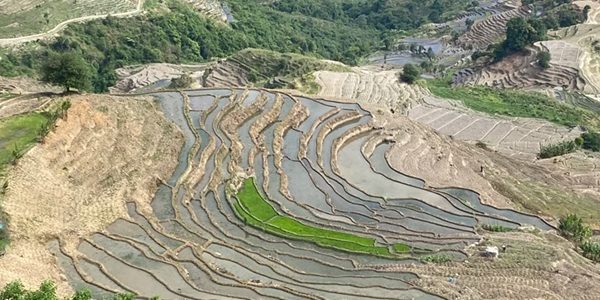 元江那诺梯田
