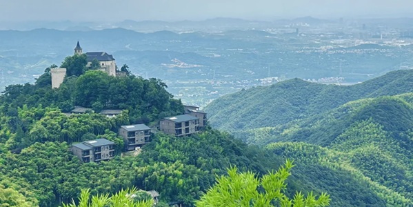 德清县莫干山竹海全景图