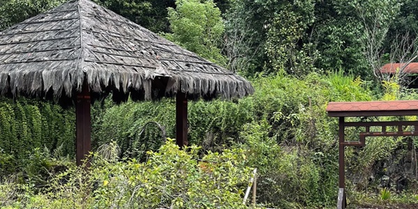 武义县清水湾温泉度假区全景图