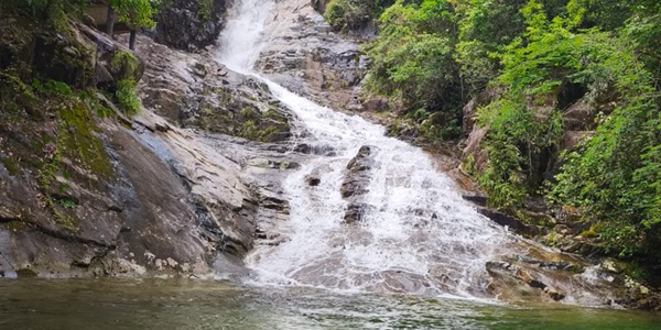 丽水庆元百山祖主峰全景图