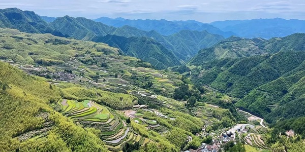 丽水遂昌南尖岩云海梯田全景图