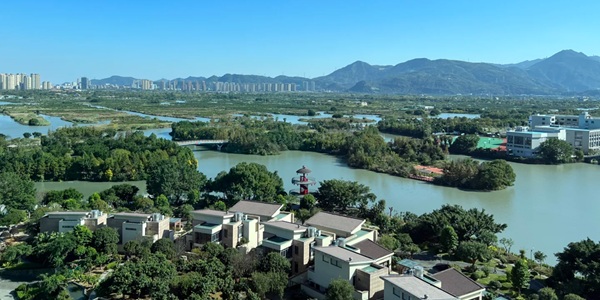 温州瓯海三垟湿地全景图