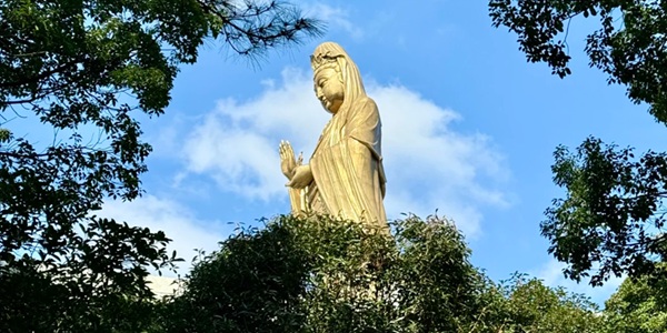 普陀区普陀山南海观音像全景图