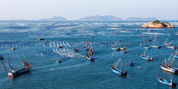 嵊泗县枸杞岛海上牧场全景图